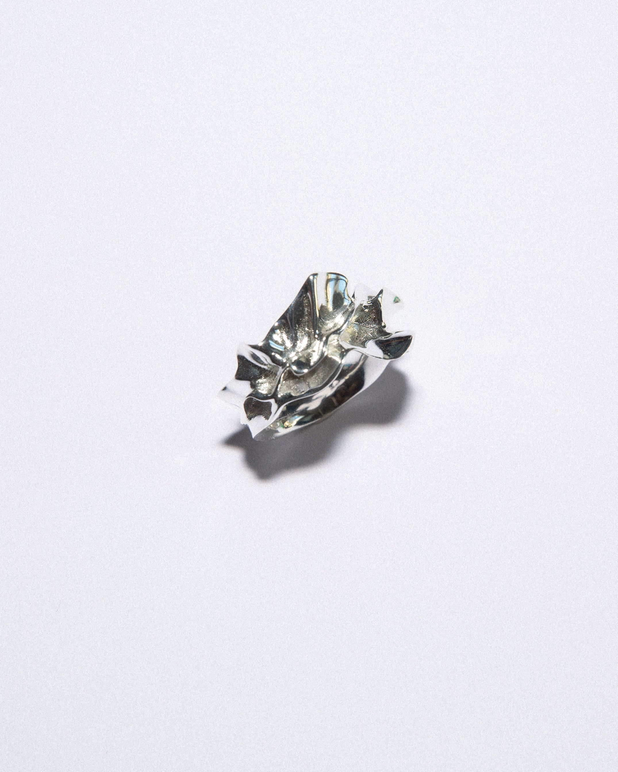 RS00 | FAFA Ring