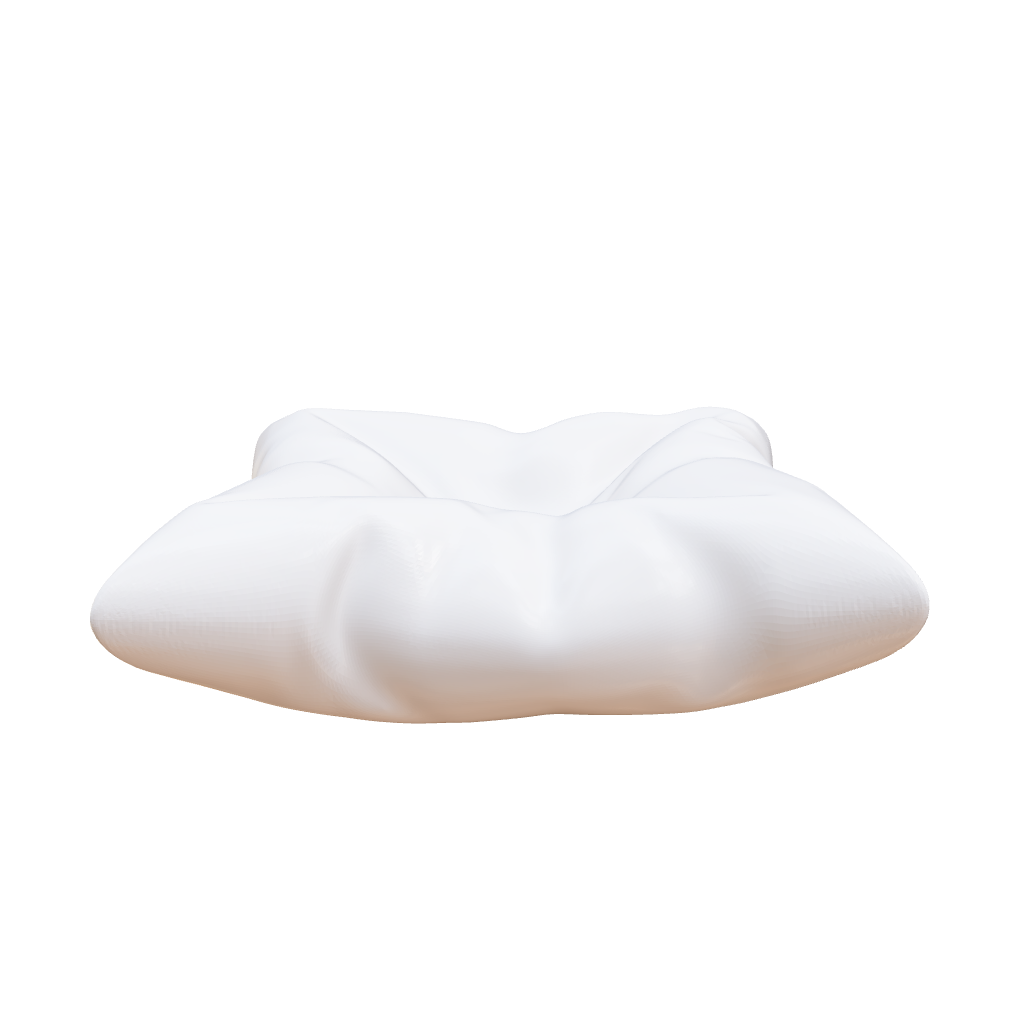 Buds Pillow